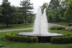 Flag stone path